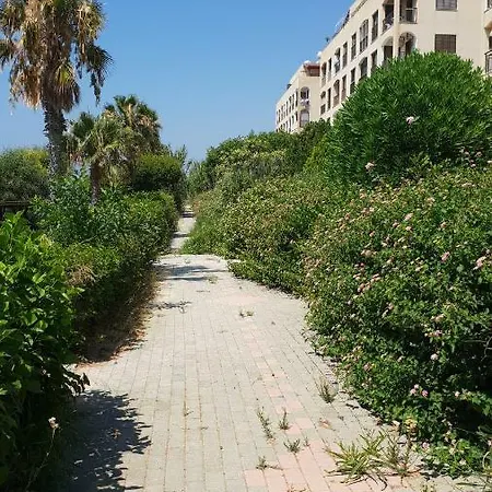 Adonis Sea View